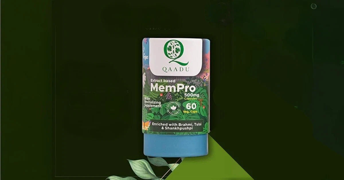 Qaadu Mempro: Your Brain and Body’s Right Support