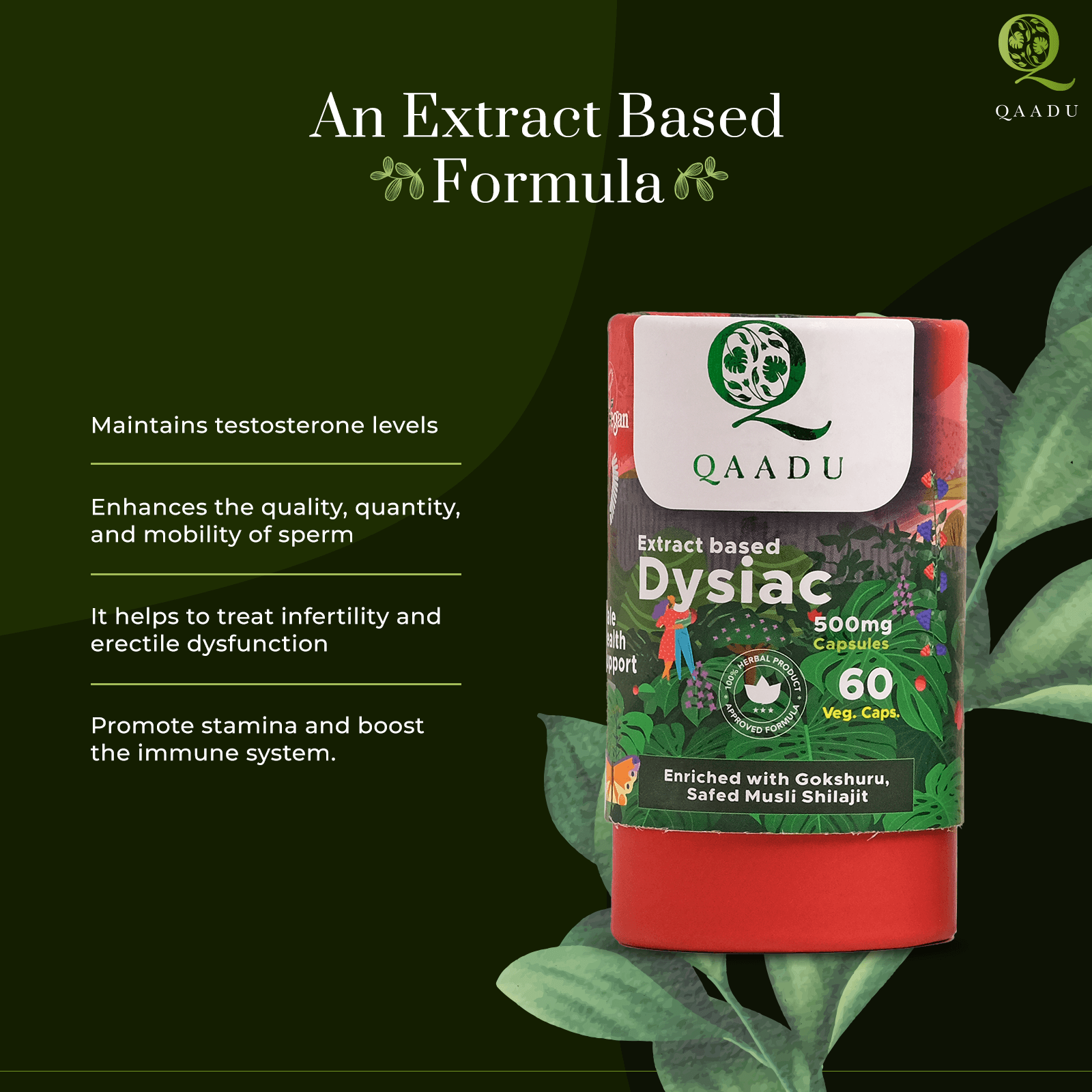 1. Herbal formula with leaves and green leaves, Qaadu Dysiac Capsule for men's sexual health and virility. 2. Qaadu Dysiac Capsule: natural extract-based formula with leaves and green leaves for men's sexual health. 3. Boost men's sexual health with Qaadu Dysiac Capsule, a natural extract-based formula with leaves and green leaves.