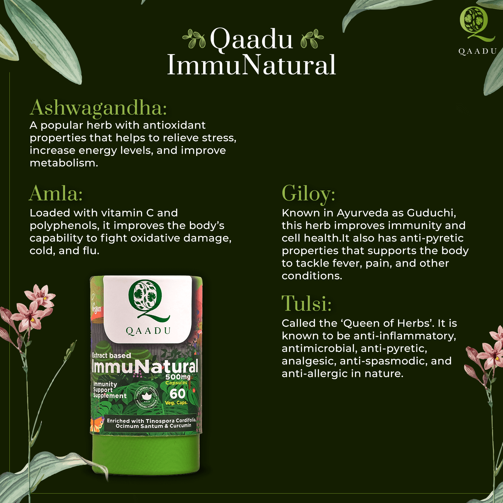 Qaadu ImmuNatural herbal supplement with Ashwagandha, Amla, Giloy, and Tulsi. Ashwagandha reduces stress and boosts energy, Amla enhances immunity with vitamin C, Giloy improves cell health and fights fever, and Tulsi offers anti-inflammatory and antimicrobial benefits. The product contains 60 vegetarian capsules, enriched with Tinospora Cordifolia, Ocimum Sanctum, and Curcumin.