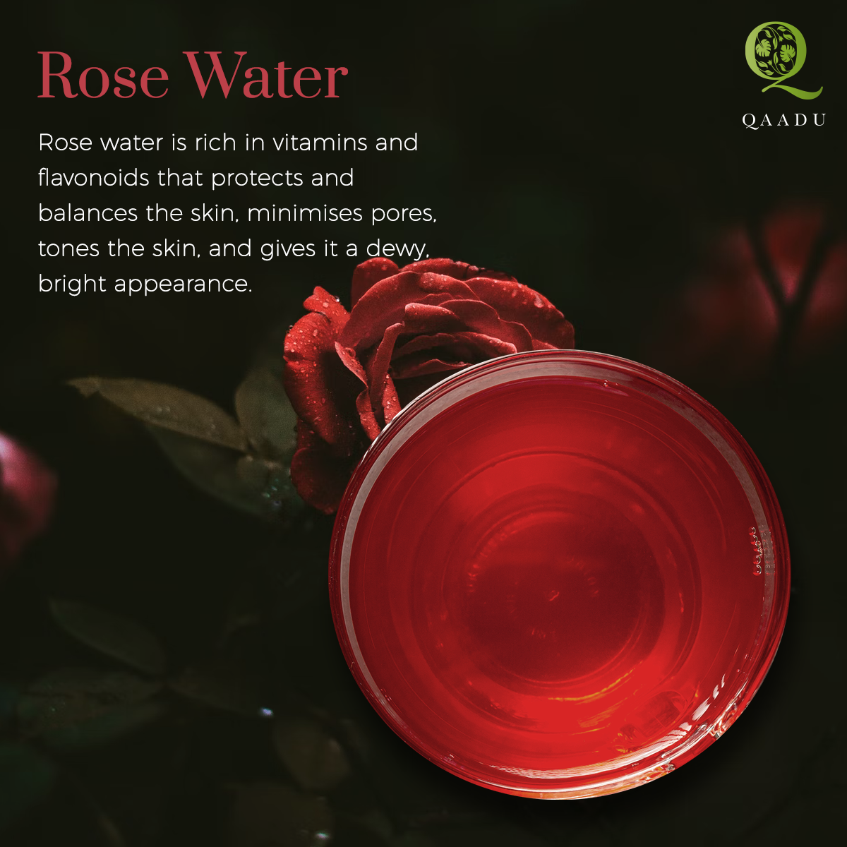 A promotional image for Qaadu's Rose Water. The background features a dark, close-up view of a red rose with water droplets on its petals. In the foreground, there is a clear bowl filled with red rose water. The text on the left side reads:  