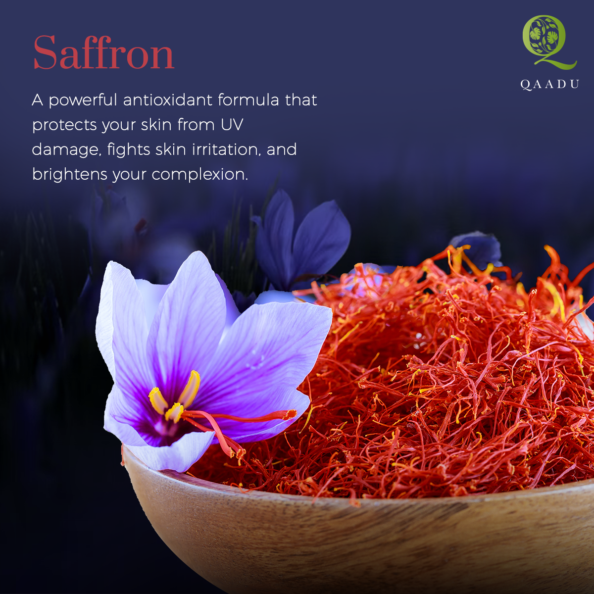 A bowl filled with saffron threads next to a blooming saffron flower. Text on the image describes saffron as a powerful antioxidant formula that protects skin from UV damage, fights skin irritation, and brightens the complexion. The image includes the logo and name 'QAADU.