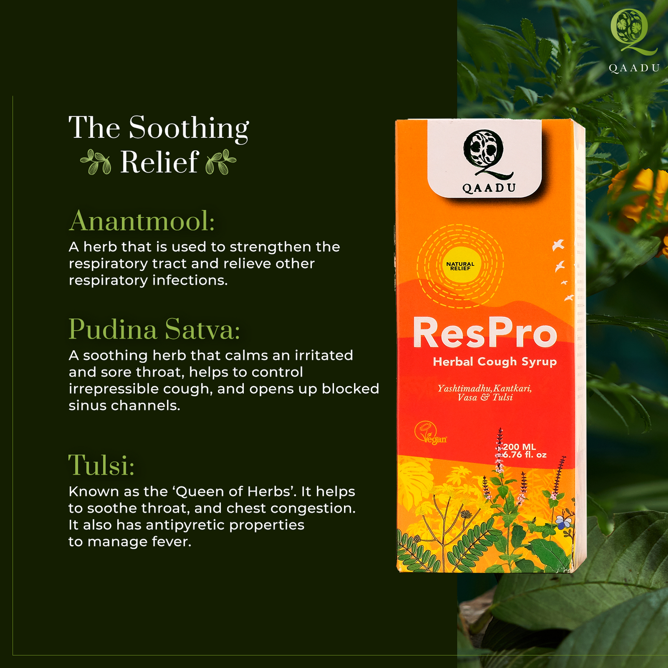 How the herbs boost health Anantmool: A herb that is used to strengthen the respiratory tract and relieve bronchial asthma and other respiratory infection.  Shirish: A mucolytic herb that helps to manage bronchitis and asthma by loosening and eliminating kapha or mucus from the lungs.  Kanthkari: A herb used as an expectorant that is beneficial in dealing with cough and chest pain caused due to chest congestion.