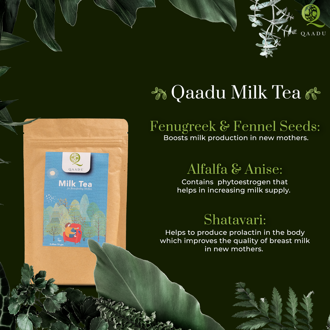 Qaadu Milk Tea. Fenugreek & Fennel Seeds: Boosts milk production in new mothers. Alfalfa & Anise: Contains phytoestrogen that helps in increasing milk supply. Shatavari: Helps to produce prolactin in the body which improves the quality of breast milk in new mothers. Image shows a package of Qaadu Milk Tea on a green background with various leafy plants.