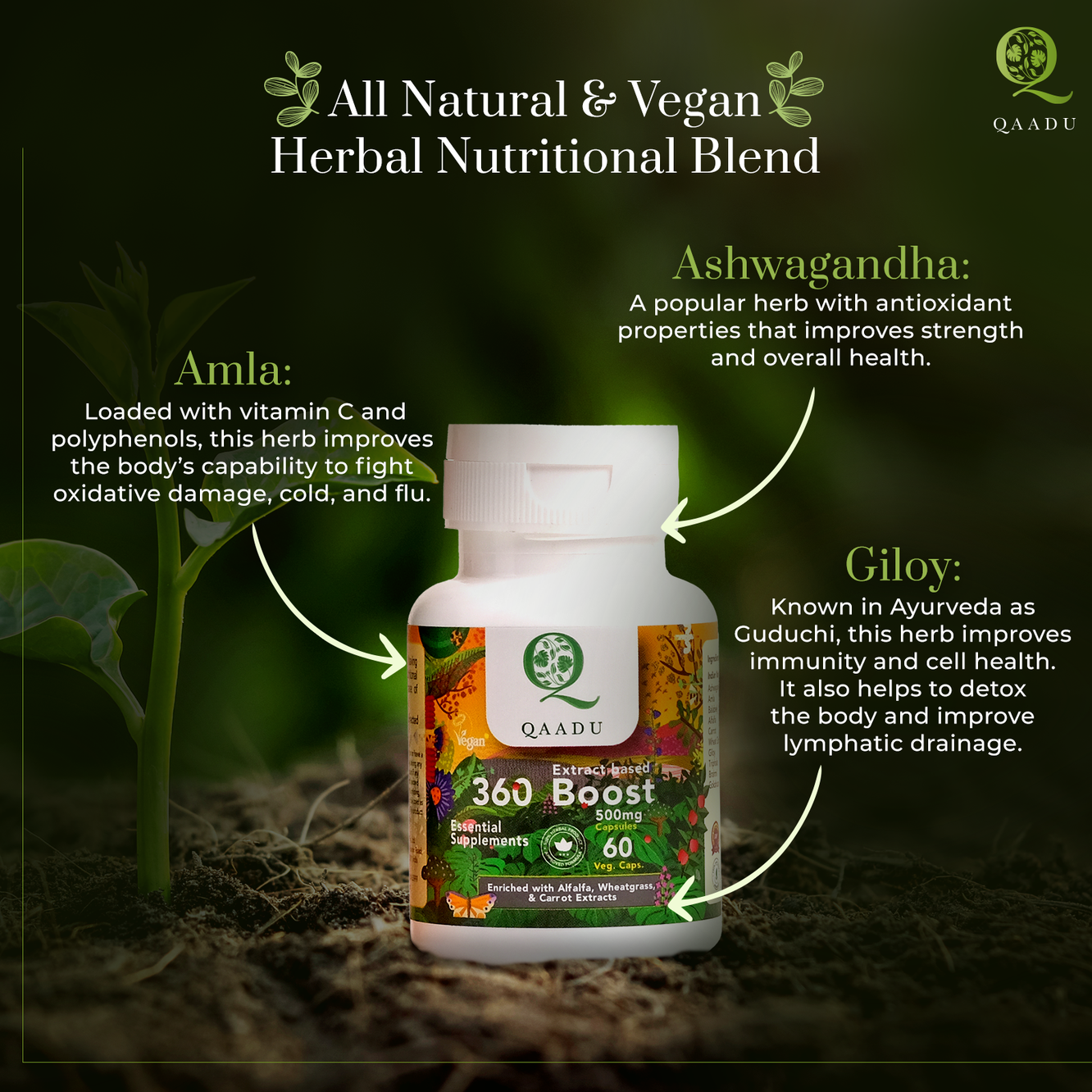 Ashwagandha: Boosts strength and overall health with antioxidant properties.  Amla: Rich in vitamin C and polyphenols, it fights oxidative damage, cold, and flu.  Giloy: Enhances immunity, cell health, detoxification, and lymphatic drainage.  Details:  500 mg, 60 Veg. Capsules Enriched with Alfalfa, Wheatgrass, & Carrot Extracts